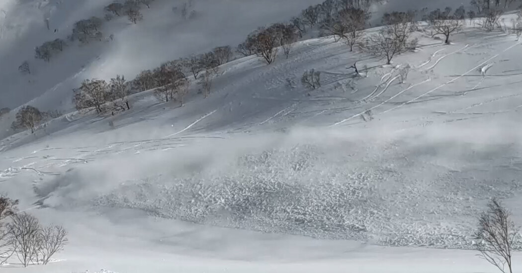 Japan’s Ski Slopes Have Too Much of a Good Thing: Snow